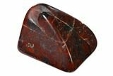 Polished Stromatolite (Collenia) - Minnesota #136909-1